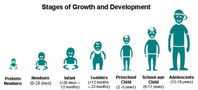 Stages - Child Development Timeline